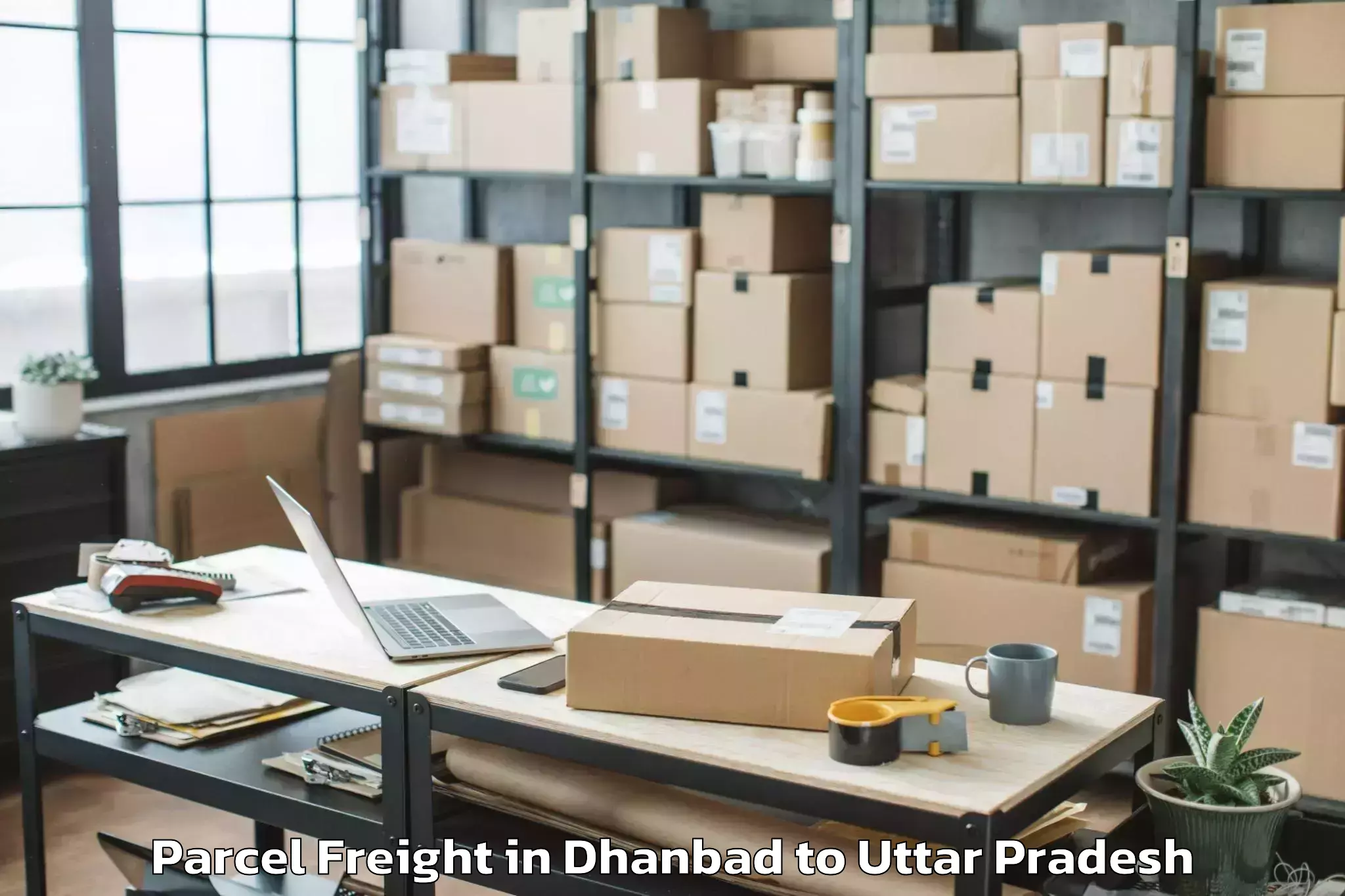 Trusted Dhanbad to Babrala Parcel Freight